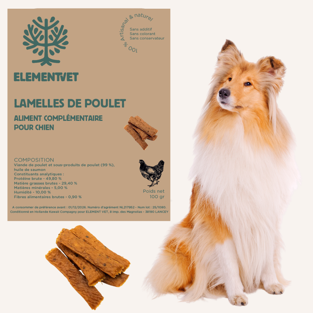 Natural dog treats – Protein-rich chicken strips