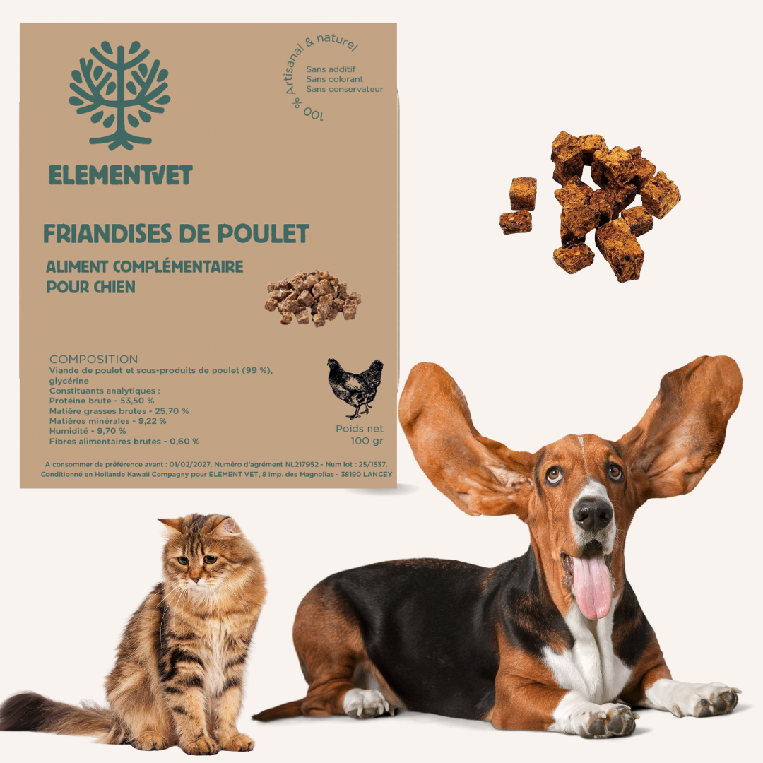 Dog and cat accessories and treats