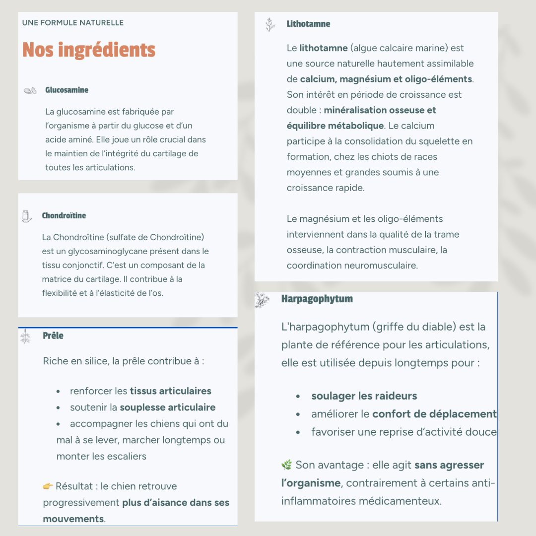 Articulation Renforcée soutien articulaire