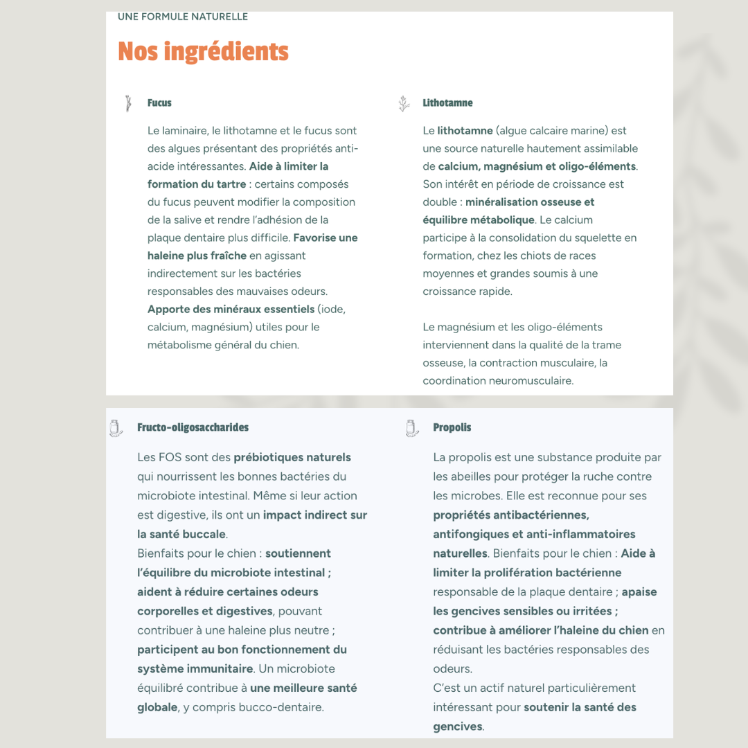 Hygiène bucco-dentaire naturelle : Cure tartre chien