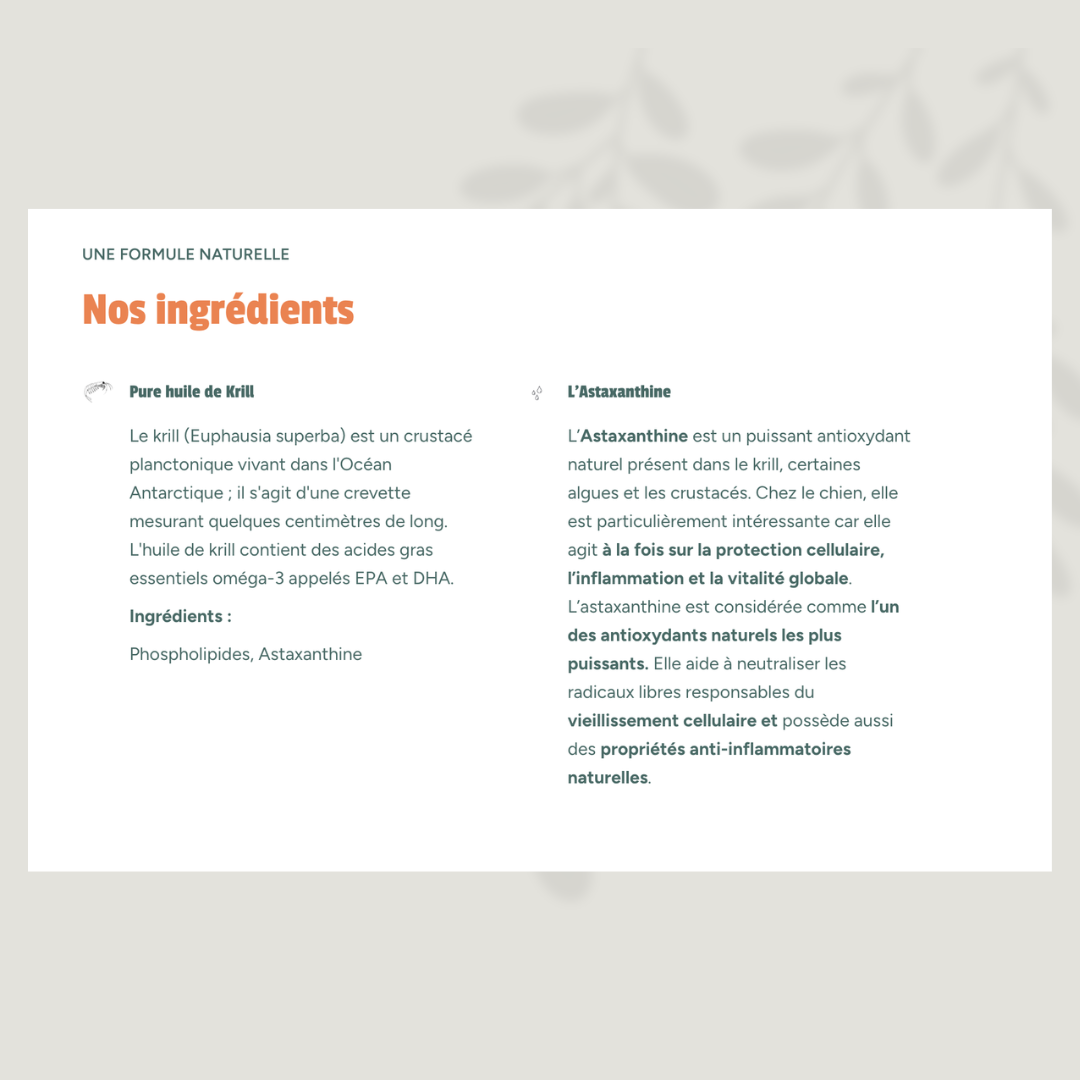 Huile de Krill - Oméga 3 pour chien : soutien articulaire, peau et vitalité