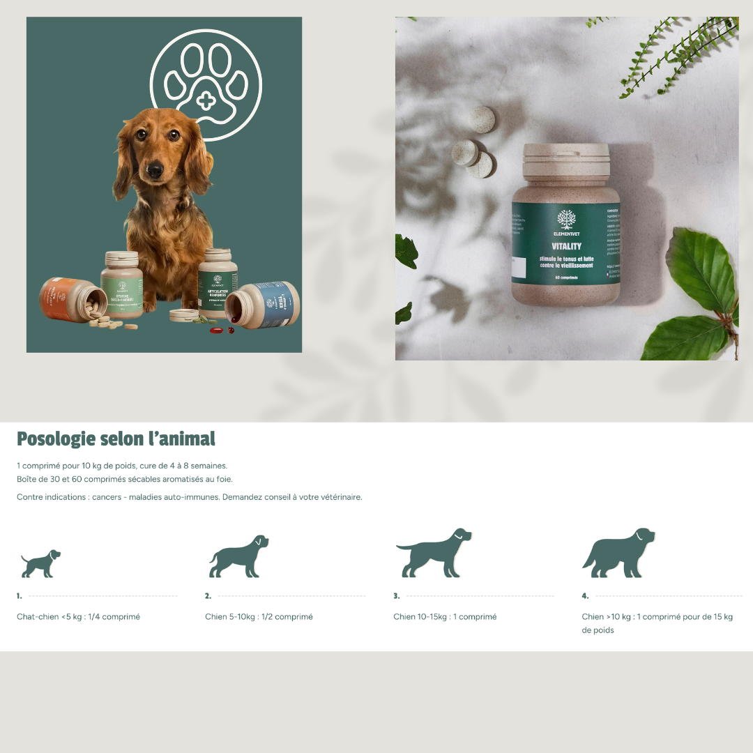 Vitality – La cure tonus et vitalité pour votre compagnon