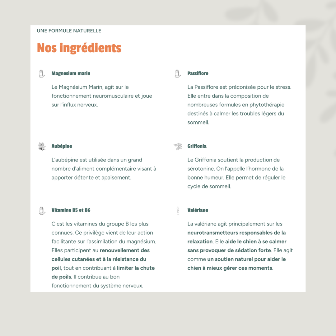 Anti-Stress cure naturelle pour chien anxieux