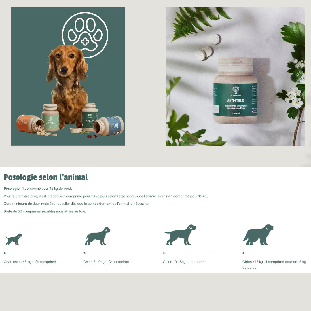 Anti-Stress cure naturelle pour chien anxieux