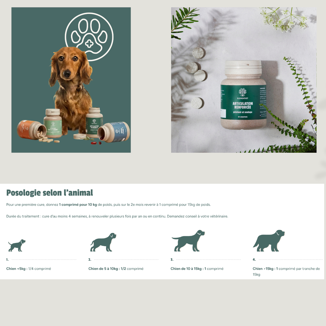 Articulation Renforcée soutien articulaire