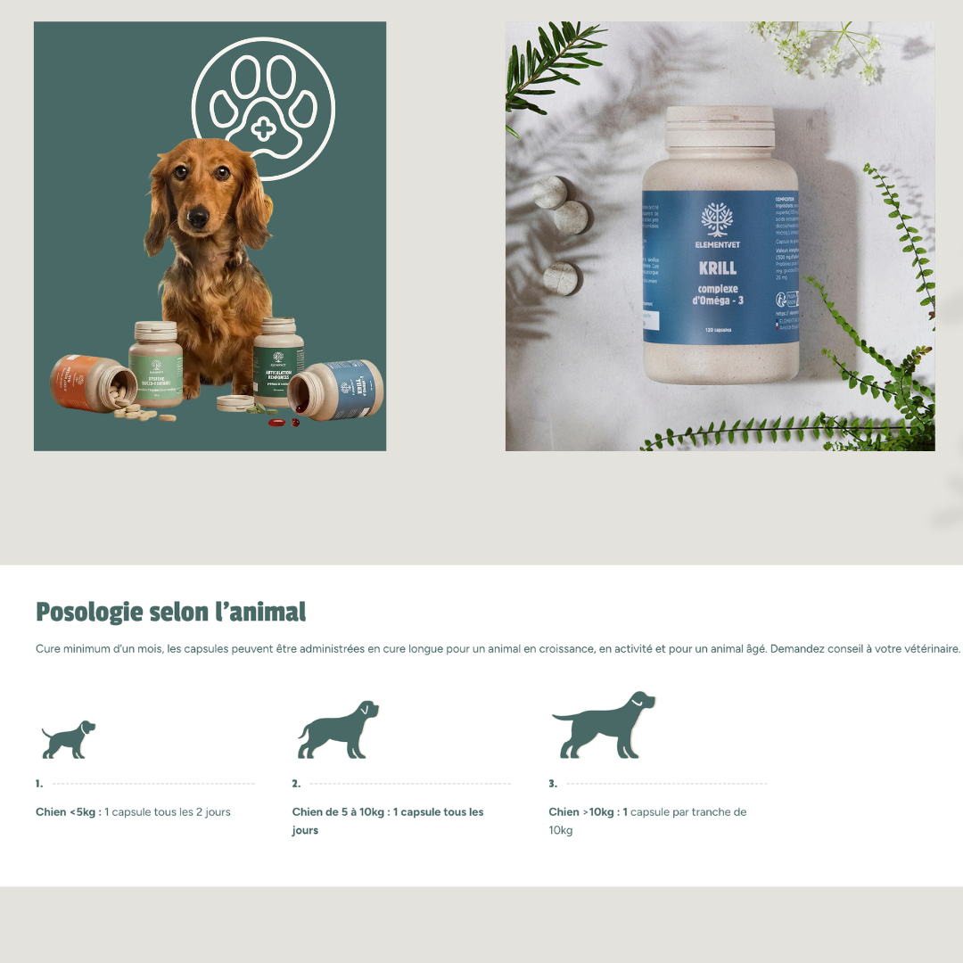 Huile de Krill - Oméga 3 pour chien : soutien articulaire, peau et vitalité