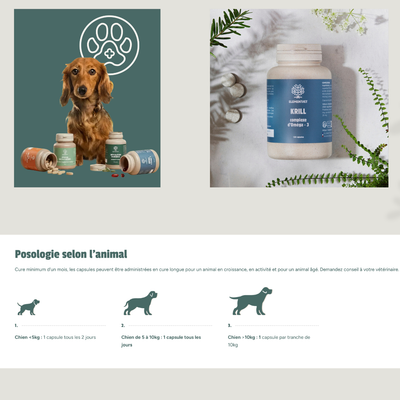 Oméga 3 – Huile de Krill pour chien : soutien articulaire, peau et vitalité