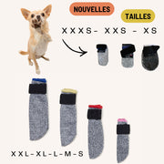 Bottines confort soin pour chien – Protection des coussinets & bien-être au quotidien