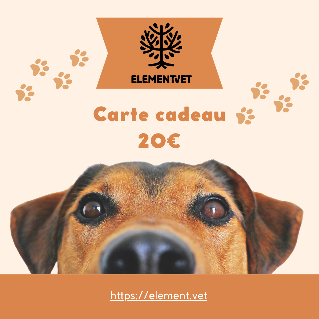 Carte cadeau sur la boutique