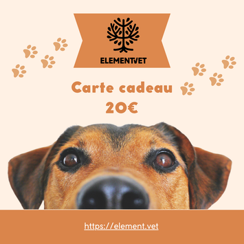 Carte cadeau sur la boutique
