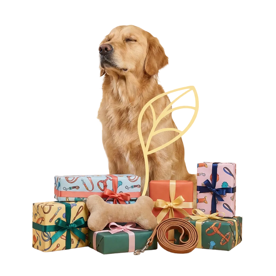 Programme de fidélité