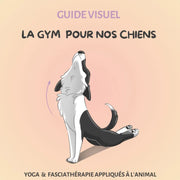 La Gym pour nos chiens