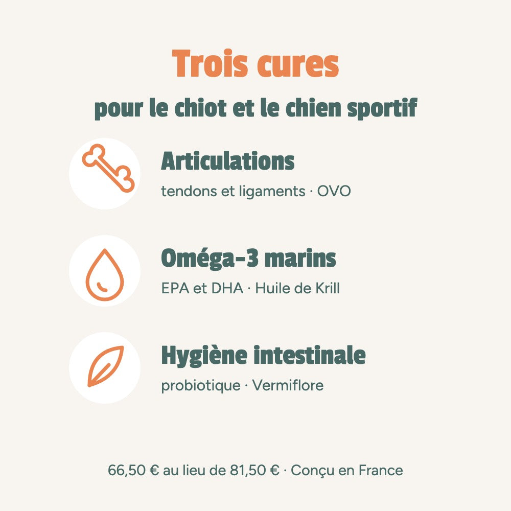 Trois cures pour le chiot et le chien sportif : articulations, tendons et ligaments (OVO), oméga-3 marins EPA et DHA (Huile de Krill), hygiène intestinale (Vermiflore)