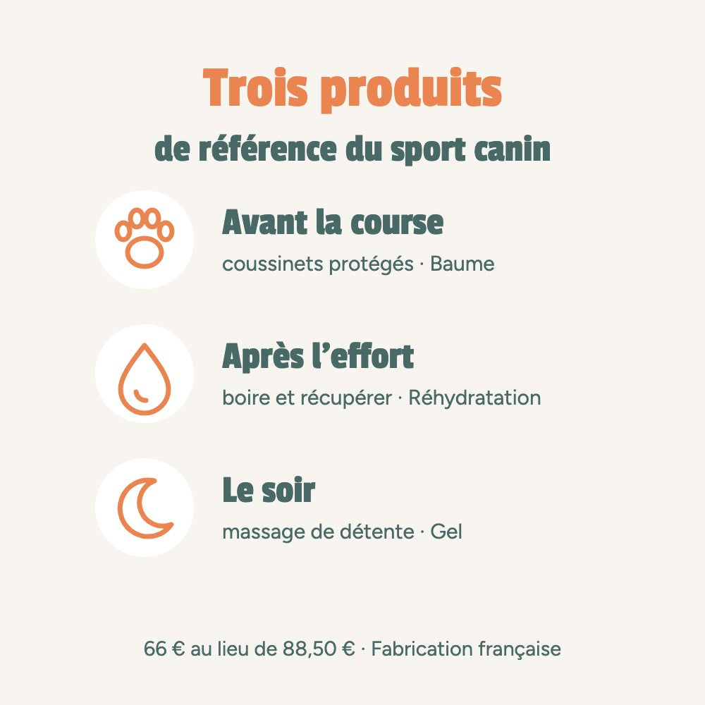 Trois produits de référence du sport canin : avant la course, coussinets protégés (baume) ; après l’effort, boire et récupérer (Réhydratation) ; le soir, massage de détente (gel)