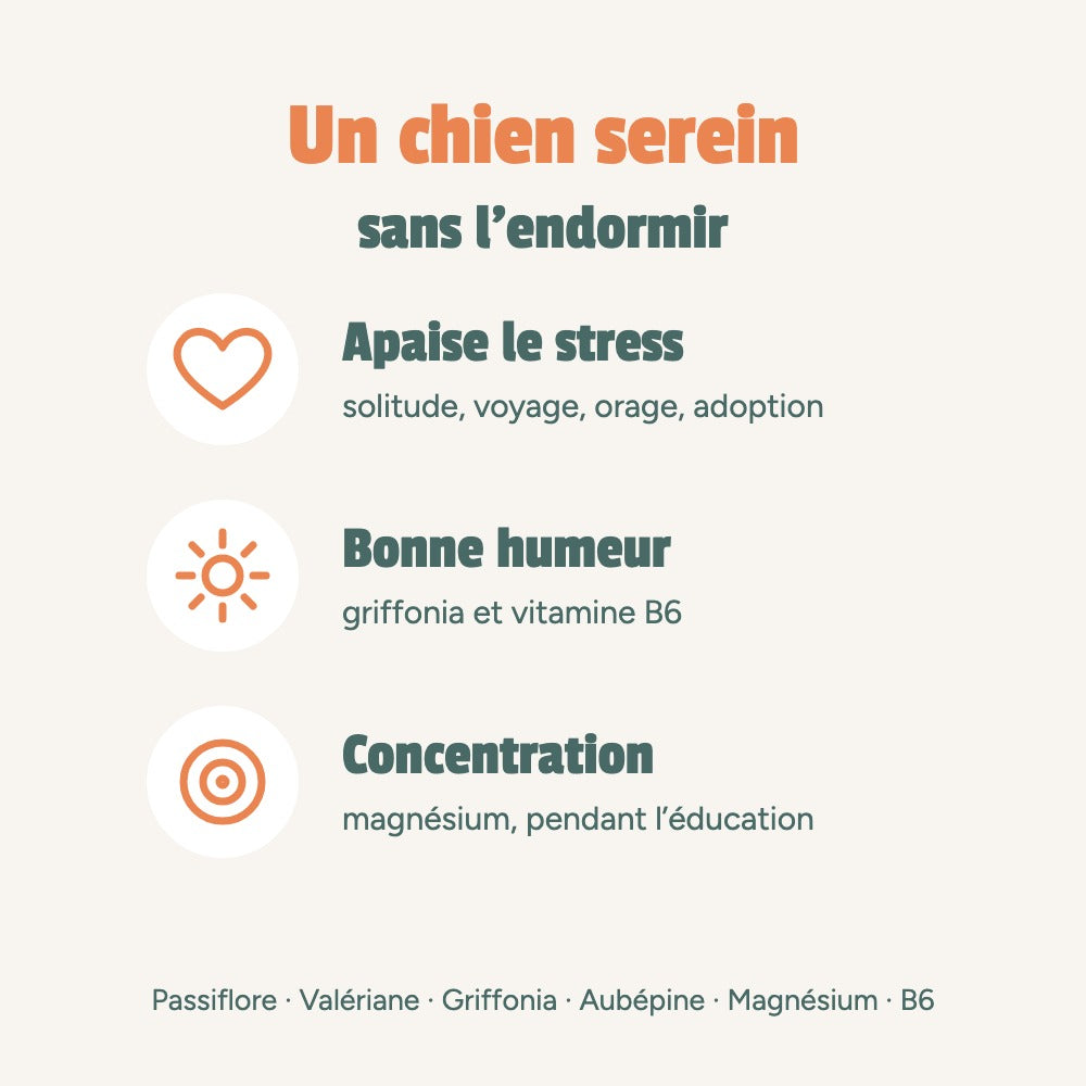Un chien serein sans l’endormir : apaise le stress, bonne humeur, concentration
