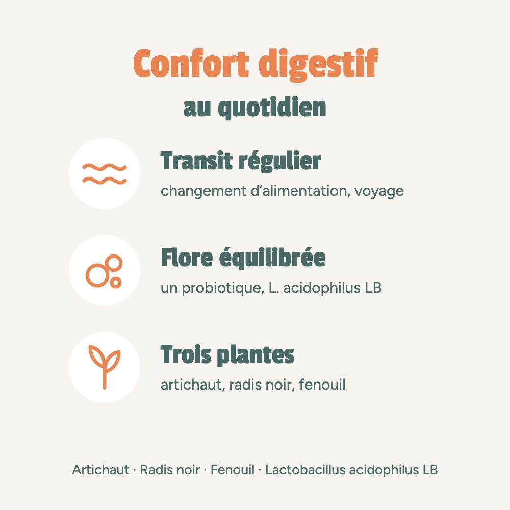 Confort digestif au quotidien : transit régulier, flore équilibrée, trois plantes