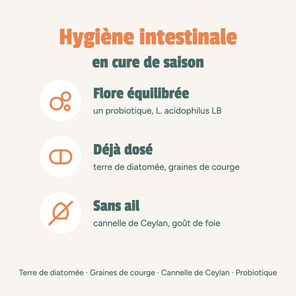 Hygiène intestinale en cure de saison : flore équilibrée, déjà dosé, sans ail