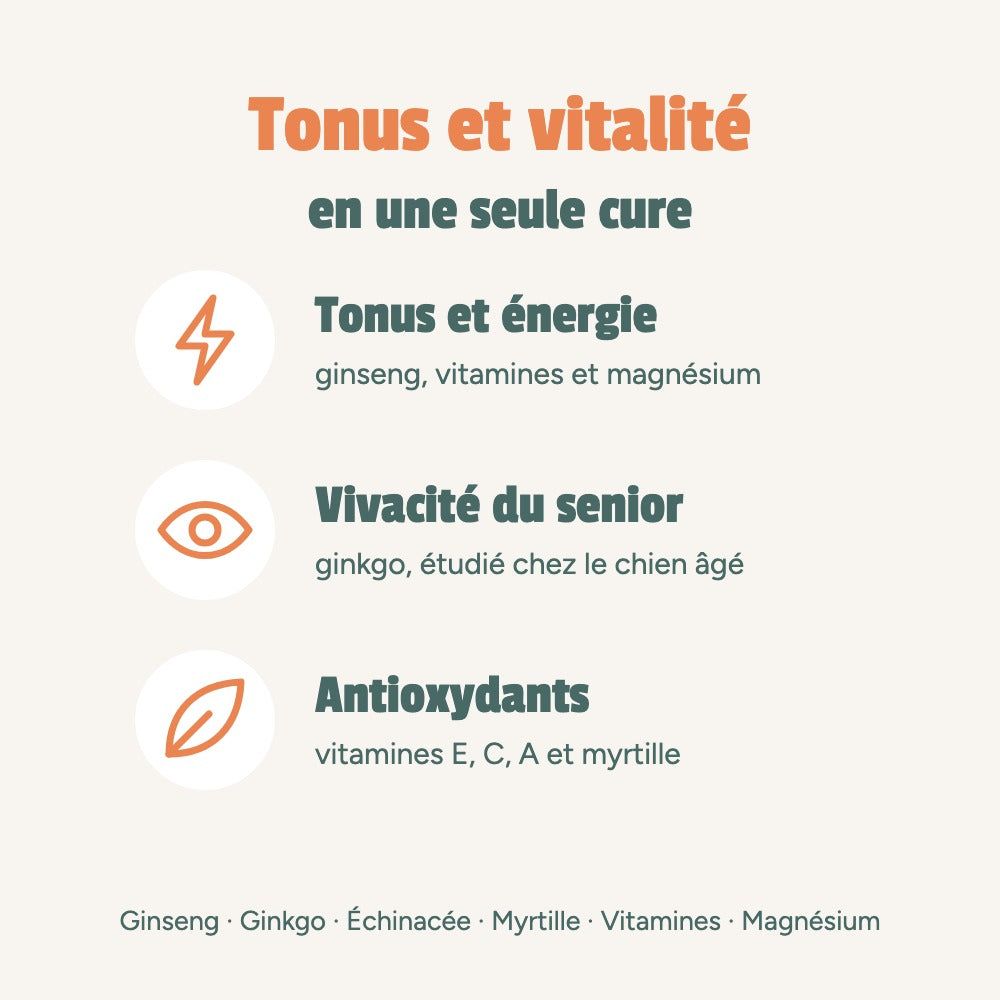 Tonus et vitalité en une seule cure : tonus et énergie, vivacité du chien senior, antioxydants