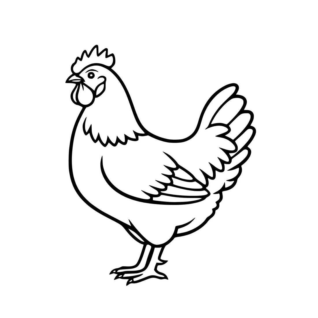 viande de Poulet 