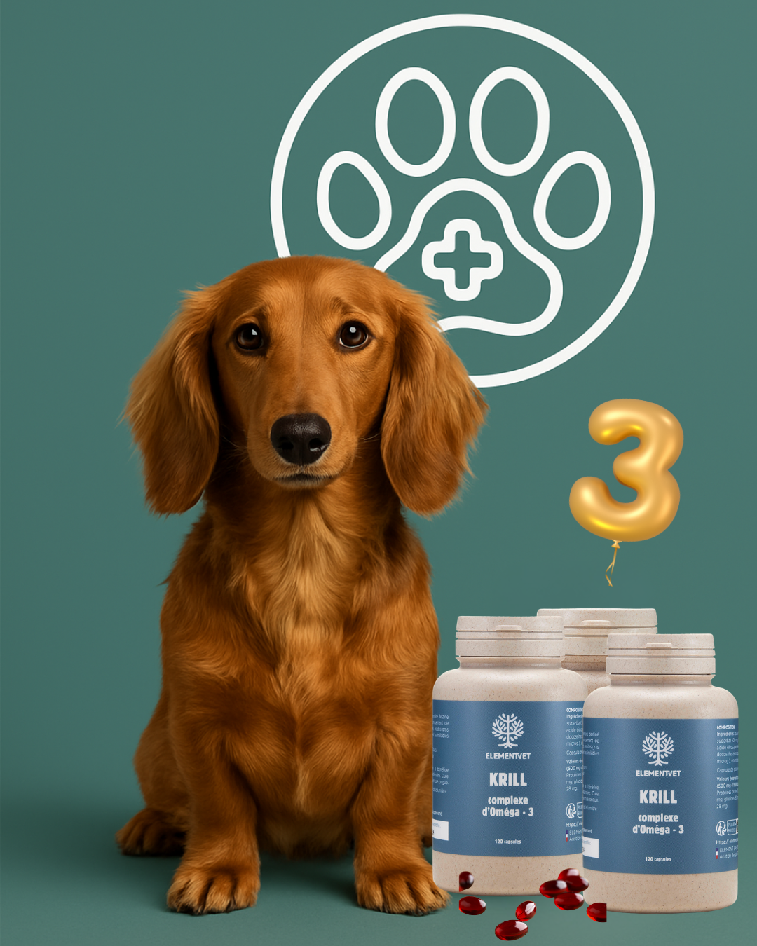 Oméga 3 – Huile de krill