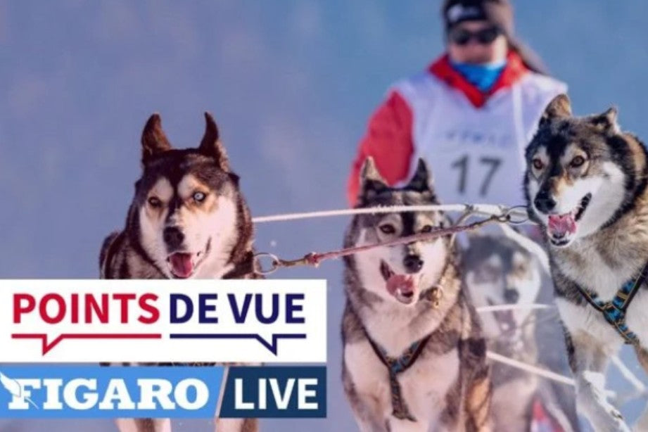 Reportage Points de vue du Figaro Live sur Valérie Maumon et ses chiens de traîneau