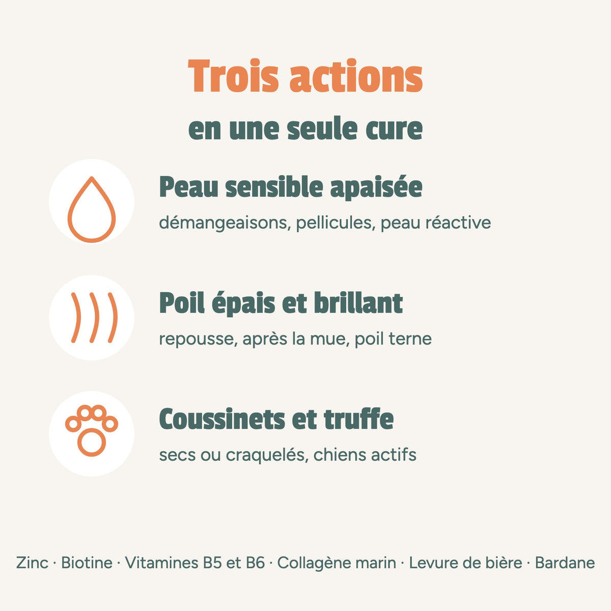Trois actions en une seule cure : peau sensible apaisée, poil épais et brillant, coussinets et truffe