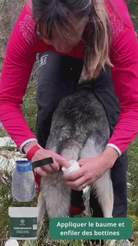 Load video: Comfort Care Boots for Dogs – Paw Protection &amp; Daily Well-being