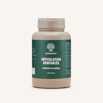 Articulation Renforcée soutien articulaire